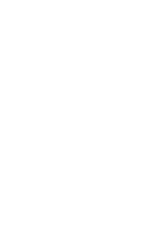 Copy Of GWR Recordholder Ribbon Singlecolour White R RGB